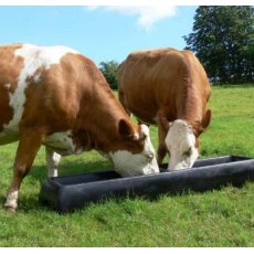 Floor Standing Feed Trough - LF5