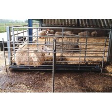 Paxton 86 Litre Anti-Slip Sheep Footbath - FB2