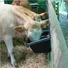 Paxton 73 Litre Hanging Feed Trough - LF4