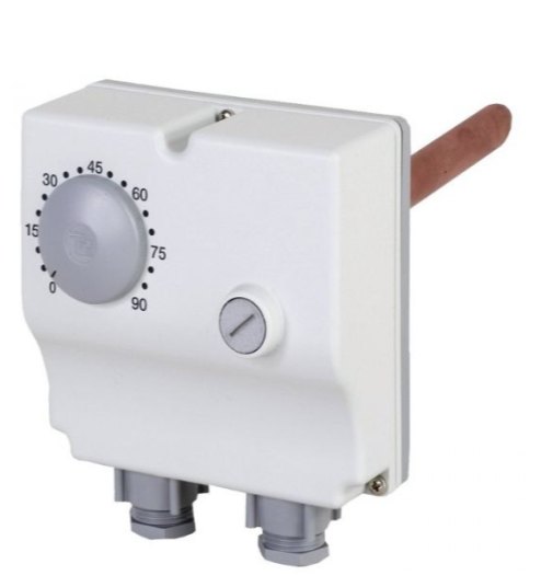 Duel Encased Thermostat