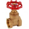 Brass Gate Valve