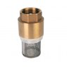 1' Brass Foot Valve and Strainer