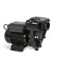 Piusi E300 Electric Diesel Transfer Pump