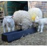1 Meter Floor Standing Feed Trough - LF100