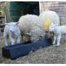 Paxton 1 Meter Floor Standing Feed Trough - LF100