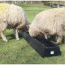 Paxton 2 Meter Floor Standing Feed Trough - LF200