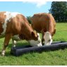 Paxton Floor Standing Feed Trough - LF5