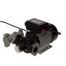 B100 transfer Pump 230V